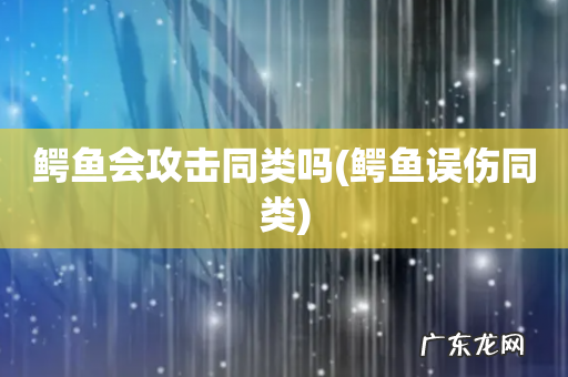 鳄鱼误伤同类 鳄鱼会攻击同类吗