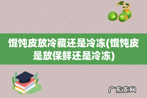 馄饨皮是放保鲜还是冷冻 馄饨皮放冷藏还是冷冻
