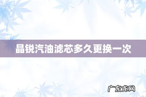 晶锐汽油滤芯多久更换一次