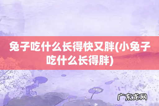 小兔子吃什么长得胖 兔子吃什么长得快又胖