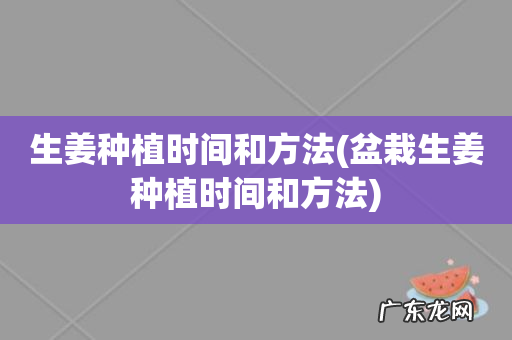 盆栽生姜种植时间和方法 生姜种植时间和方法