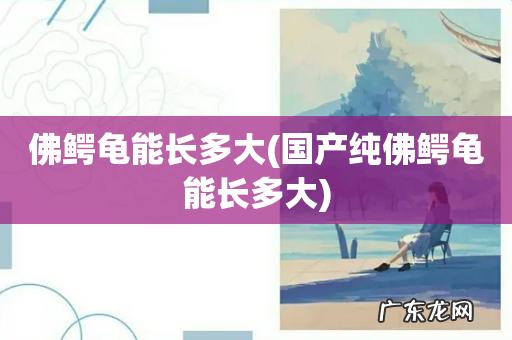 国产纯佛鳄龟能长多大 佛鳄龟能长多大