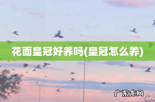 皇冠怎么养 花面皇冠好养吗