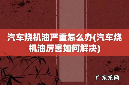 汽车烧机油厉害如何解决 汽车烧机油严重怎么办