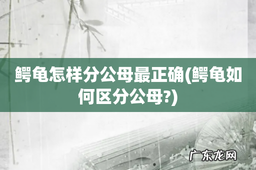鳄龟如何区分公母? 鳄龟怎样分公母最正确