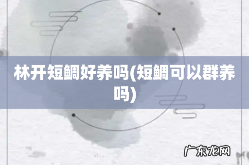 短鲷可以群养吗 林开短鲷好养吗