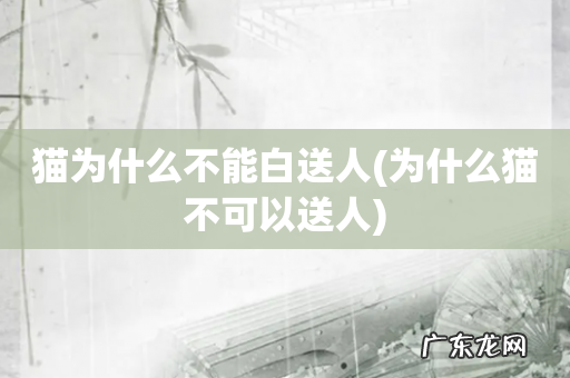 为什么猫不可以送人 猫为什么不能白送人