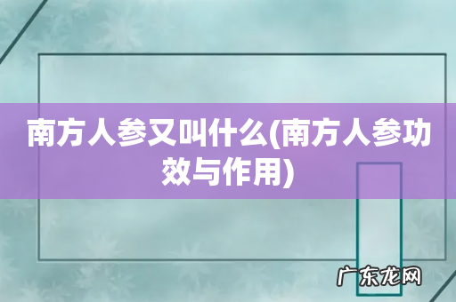 南方人参功效与作用 南方人参又叫什么