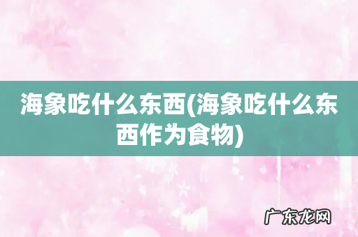 海象吃什么东西作为食物 海象吃什么东西