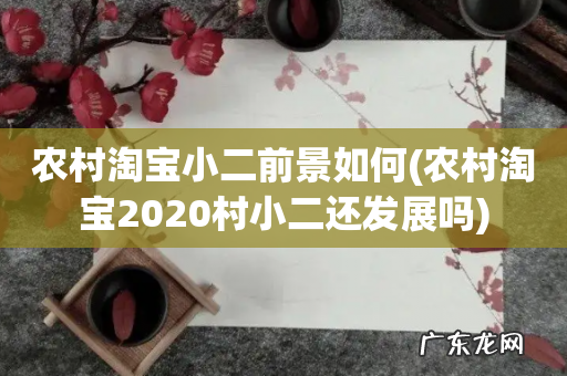 农村淘宝2020村小二还发展吗 农村淘宝小二前景如何