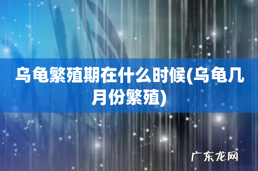 乌龟几月份繁殖 乌龟繁殖期在什么时候