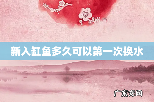新入缸鱼多久可以第一次换水