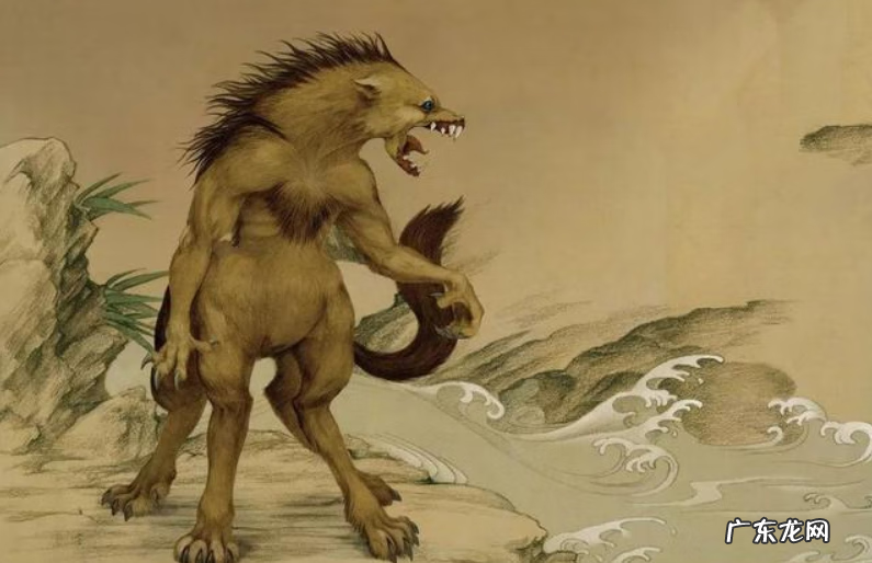 有叫麒麟的狗吗 麒麟狗头