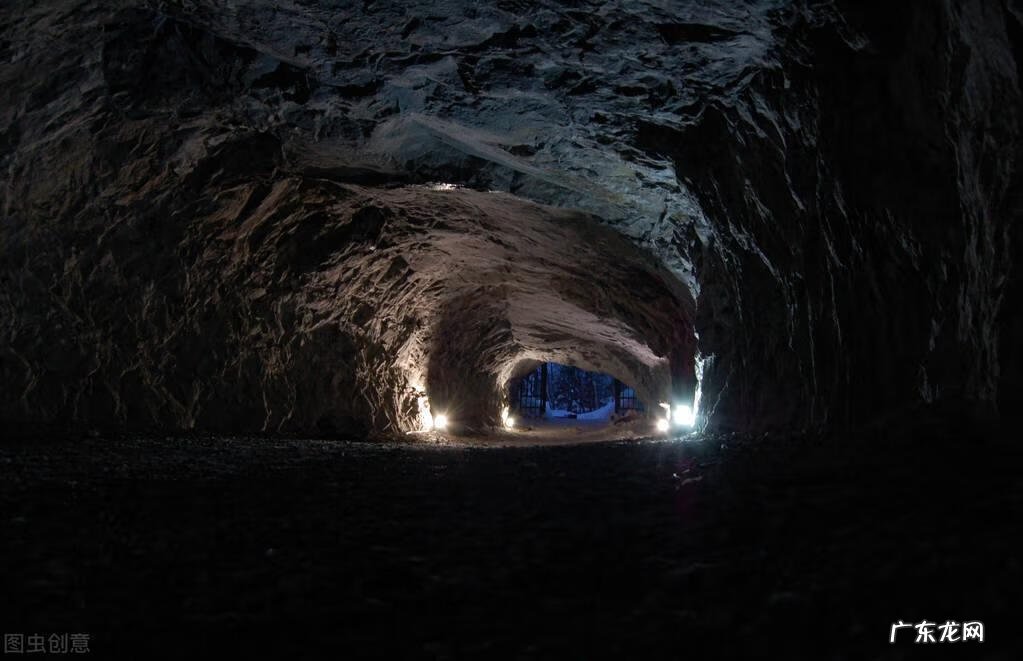 有叫麒麟的狗吗 麒麟狗头