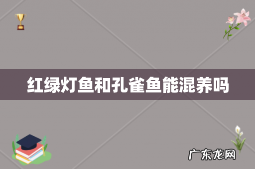 红绿灯鱼和孔雀鱼能混养吗