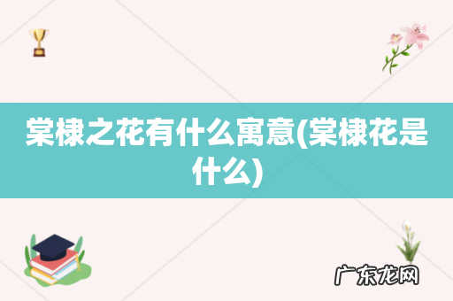 棠棣花是什么 棠棣之花有什么寓意