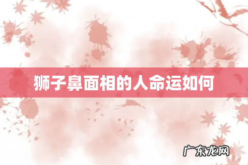 狮子鼻面相的人命运如何