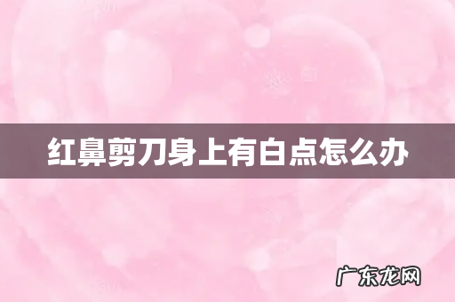 红鼻剪刀身上有白点怎么办