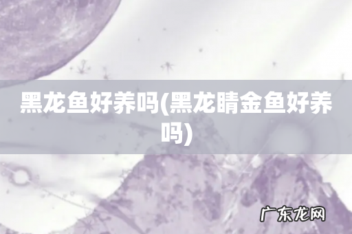黑龙睛金鱼好养吗 黑龙鱼好养吗