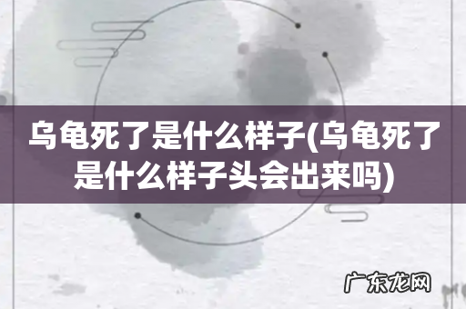 乌龟死了是什么样子头会出来吗 乌龟死了是什么样子