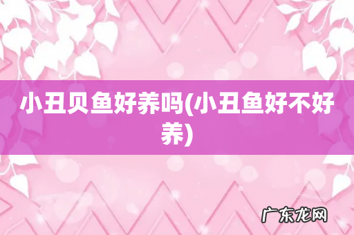 小丑鱼好不好养 小丑贝鱼好养吗