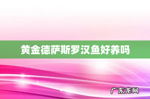 黄金德萨斯罗汉鱼好养吗