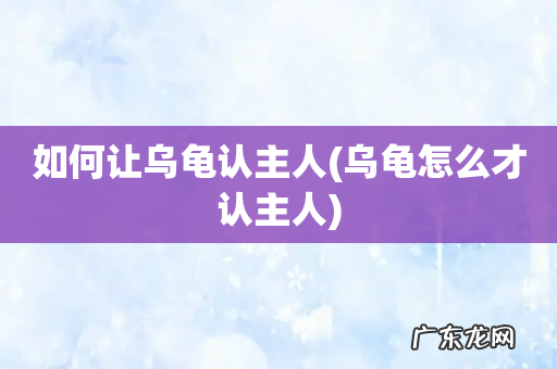 乌龟怎么才认主人 如何让乌龟认主人
