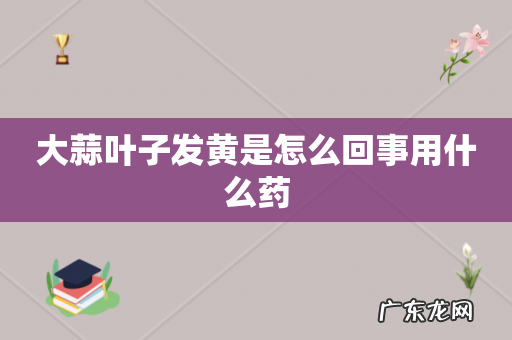 大蒜叶子发黄是怎么回事用什么药