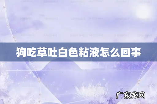 狗吃草吐白色粘液怎么回事