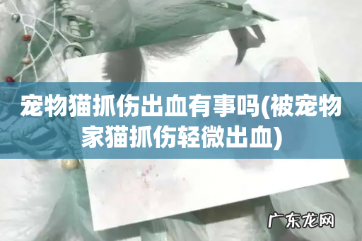 被宠物家猫抓伤轻微出血 宠物猫抓伤出血有事吗