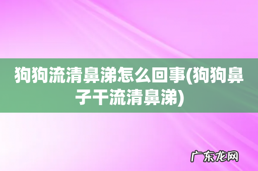 狗狗鼻子干流清鼻涕 狗狗流清鼻涕怎么回事