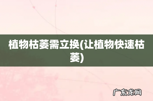 让植物快速枯萎 植物枯萎需立换