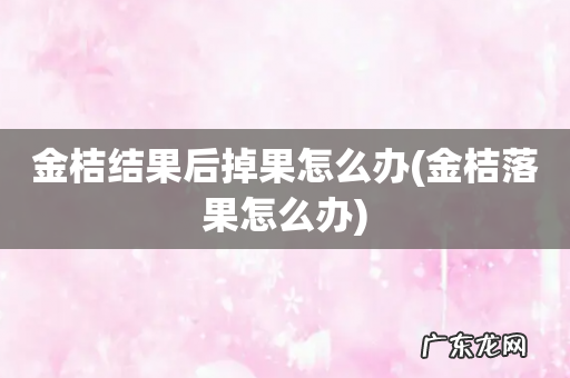 金桔落果怎么办 金桔结果后掉果怎么办