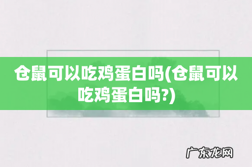 仓鼠可以吃鸡蛋白吗? 仓鼠可以吃鸡蛋白吗