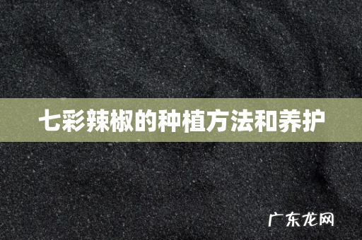 七彩辣椒的种植方法和养护