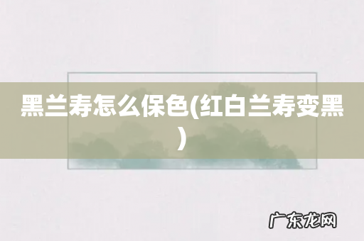 红白兰寿变黑 黑兰寿怎么保色