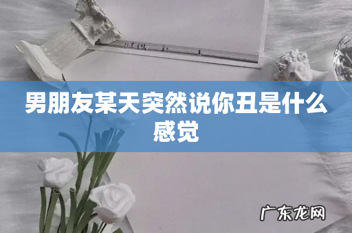 男朋友某天突然说你丑是什么感觉