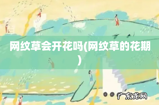 网纹草的花期 网纹草会开花吗