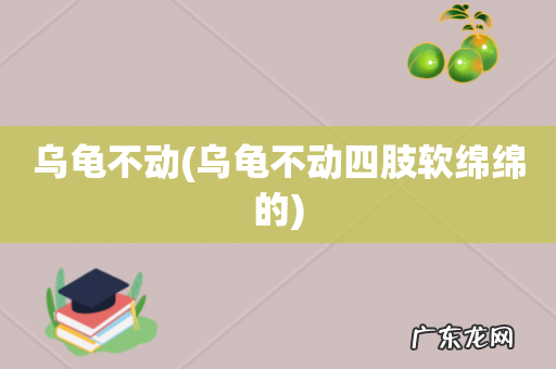 乌龟不动四肢软绵绵的 乌龟不动