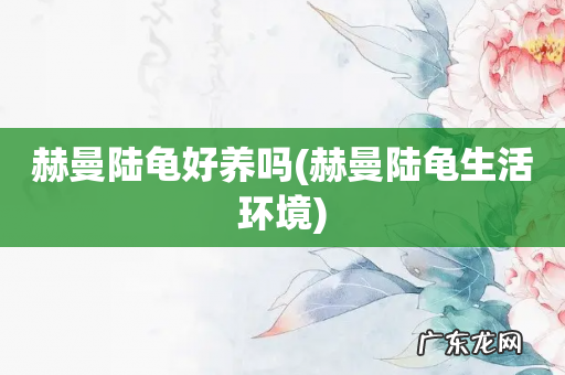 赫曼陆龟生活环境 赫曼陆龟好养吗