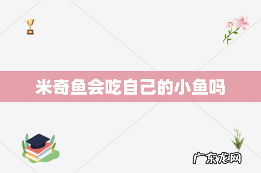 米奇鱼会吃自己的小鱼吗