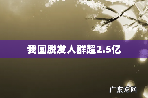 我国脱发人群超2.5亿