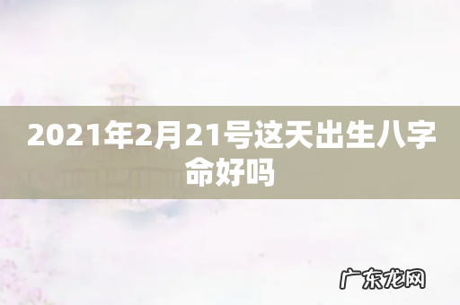 2021年2月21号这天出生八字命好吗
