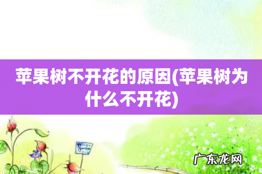 苹果树为什么不开花 苹果树不开花的原因