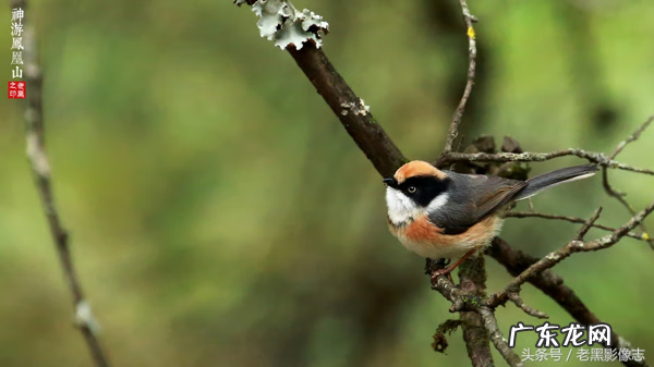 孙康盛峦山风水视频 凤凰山康居风水