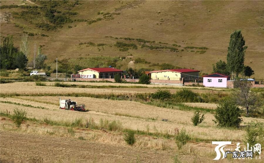 平顶山有名的风水大师 平顶山旱田风水