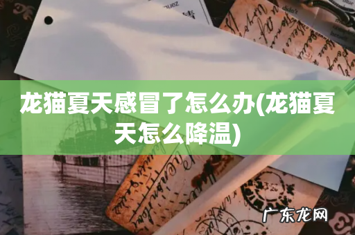 龙猫夏天怎么降温 龙猫夏天感冒了怎么办