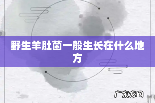 野生羊肚菌一般生长在什么地方