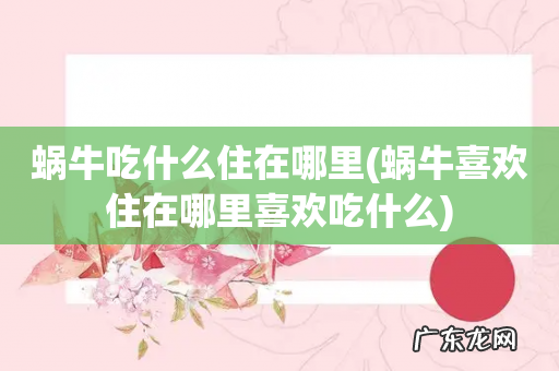 蜗牛喜欢住在哪里喜欢吃什么 蜗牛吃什么住在哪里