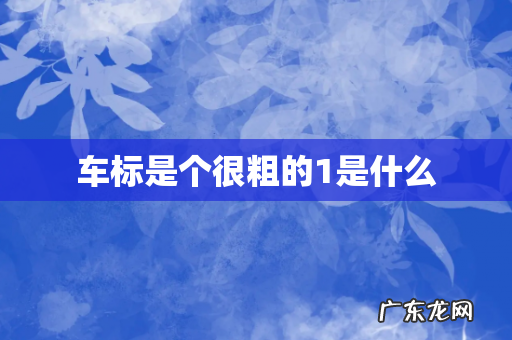 车标是个很粗的1是什么